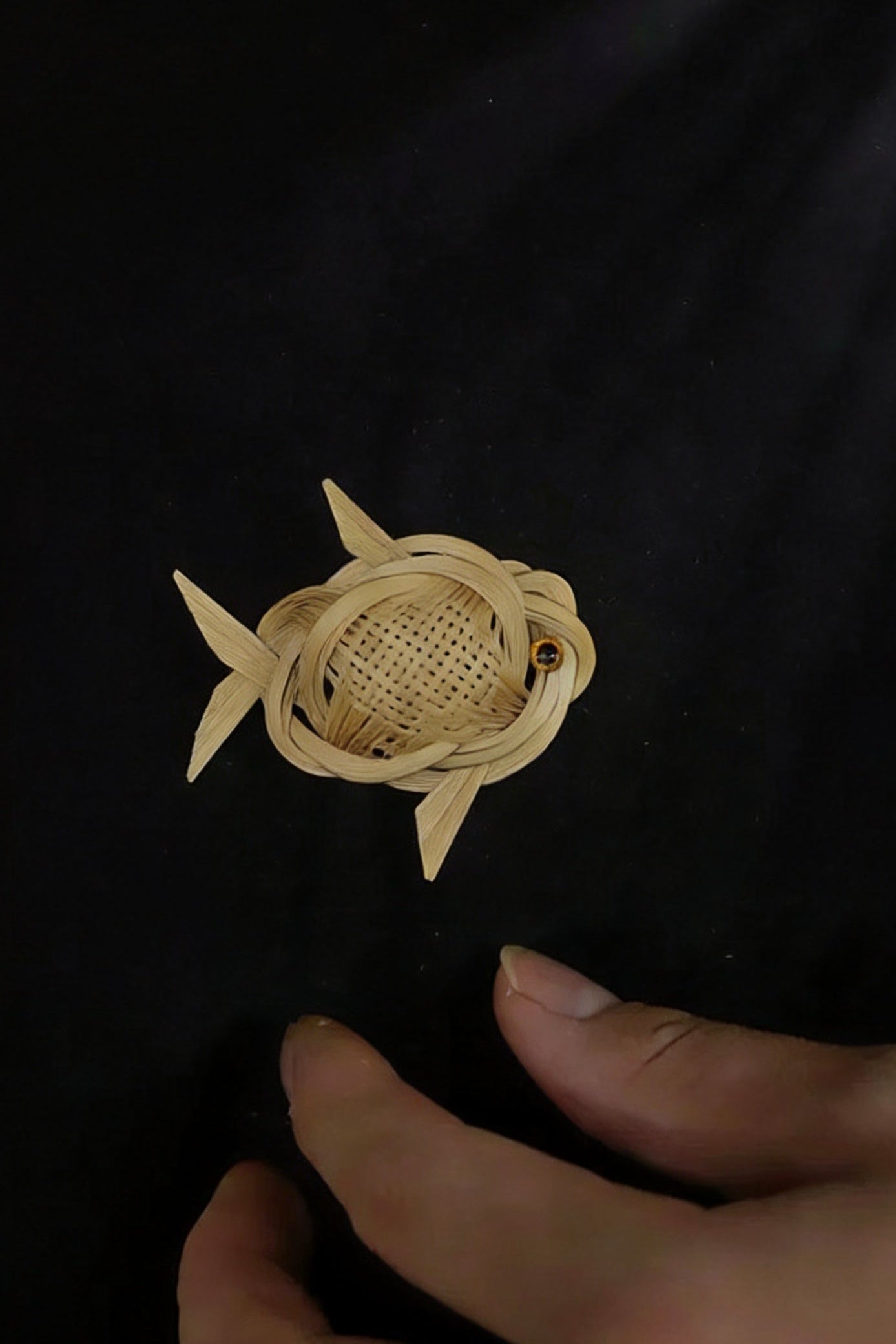 Swimming Fish Brooch